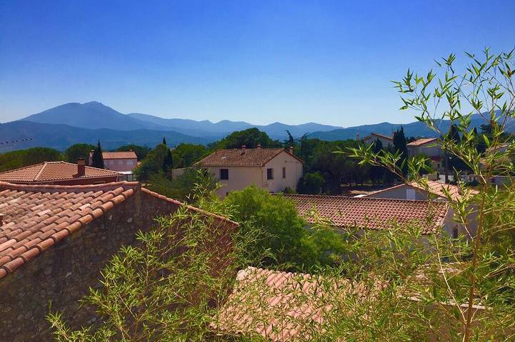 Location de vacances pour 12 personnes, avec jardin à Saint-Jean-Pla-de-Corts