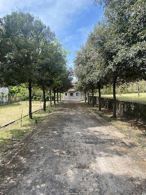 Villa with Garden View in Viagrande, Etna