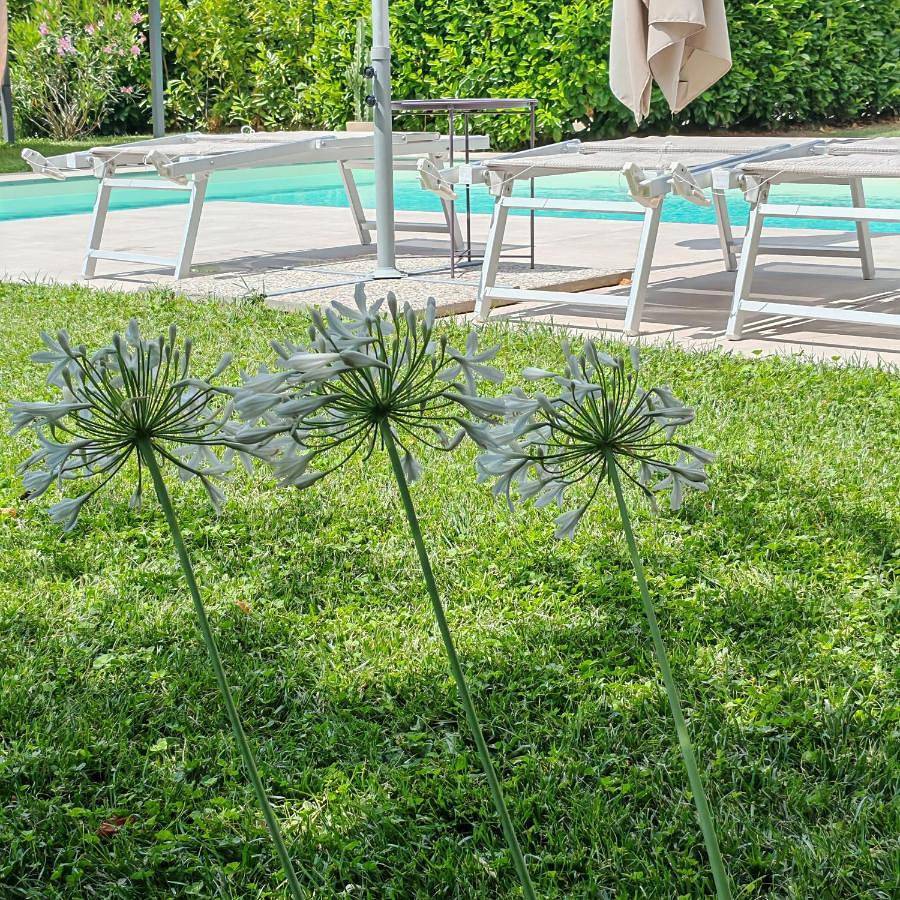 Casa di Sissy con Piscina Privata - Zona Villa Igea in Acqui Terme, Province d'Alexandrie