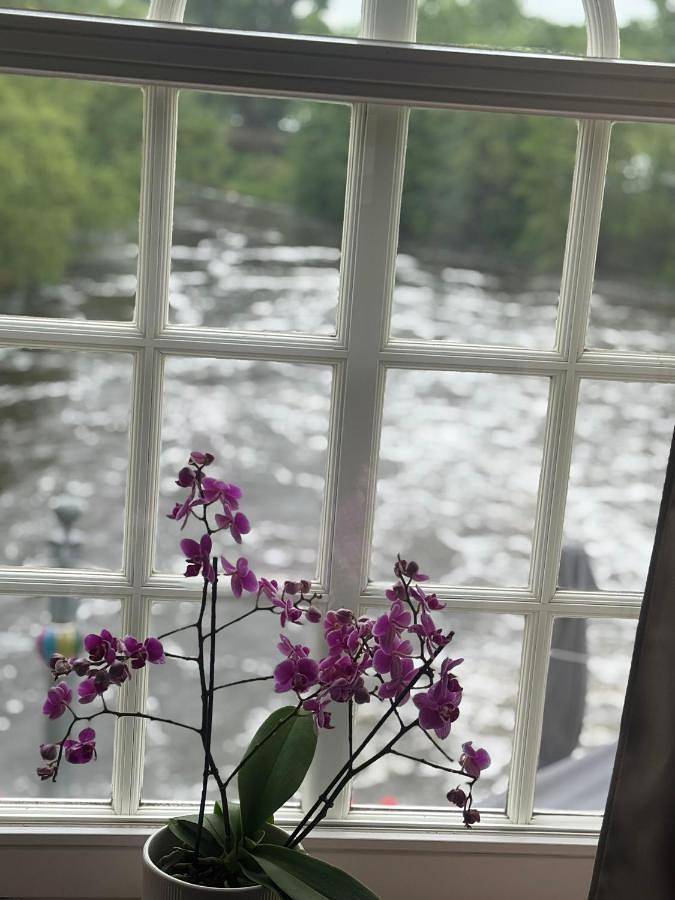 Ferienwohnung für 3 Personen, mit Ausblick und Seeblick im Münsterland - 4