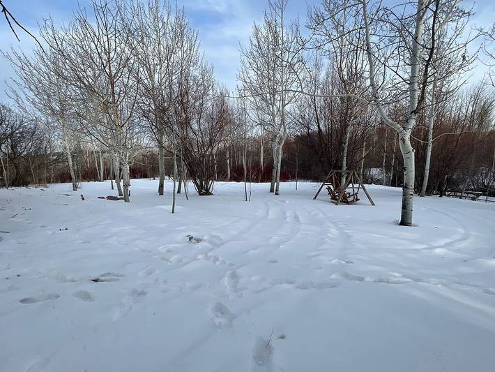 Log cabin for 8 people, with yard and terrace in Idaho