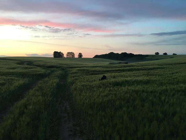 Ferienwohnung für 5 Personen, mit Ausblick und Garten in Reimershagen