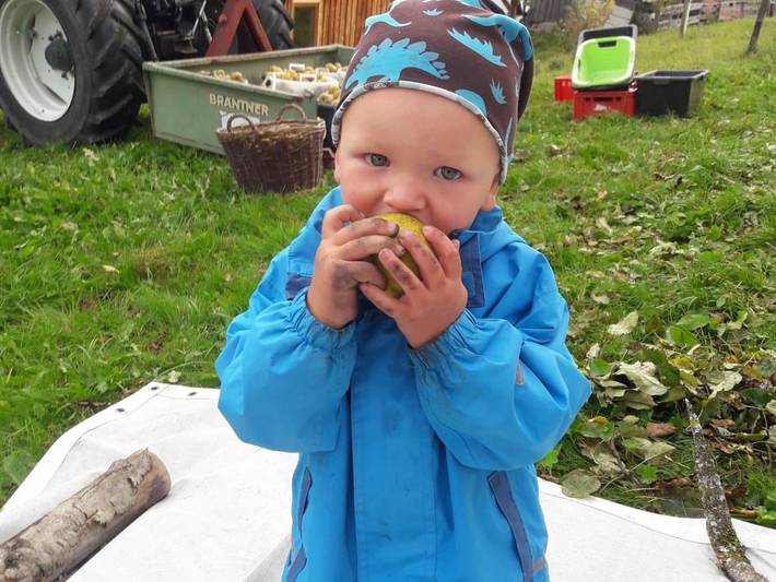 Bauernhaus für 3 Personen, mit Garten und Pool sowie Balkon, kinderfreundlich in Schladming-Dachstein - 4