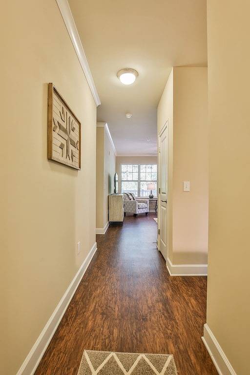 Ganze Wohnung, Bequem zu Downtown Atlanta & Suntrust Park - tierfreundlich! in Cobb County