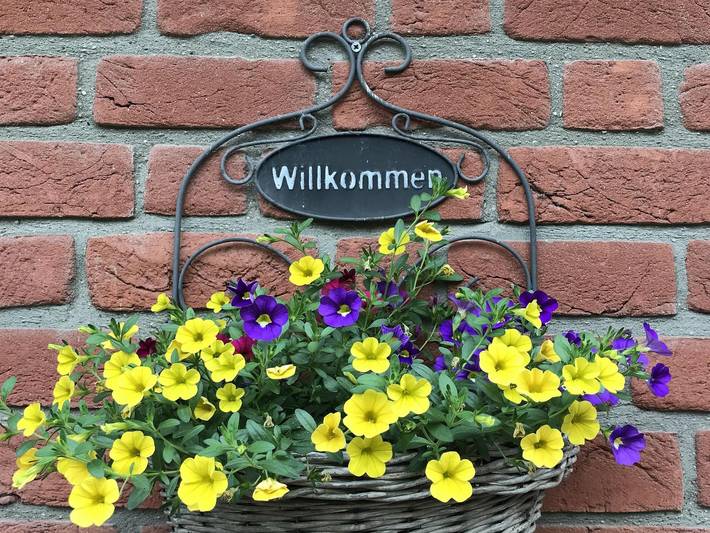 Ferienhaus für 3 Personen, mit Garten, kinderfreundlich in Kreis Segeberg - 4