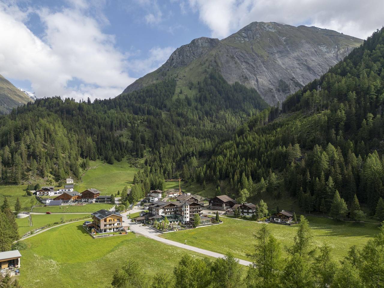Anemone in Kals am Großglockner, Bezirk Lienz