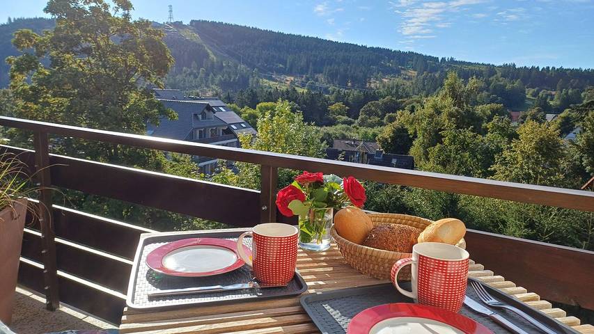 Vakantiewoning voor 3 personen, met uitzicht en balkon in Goslar