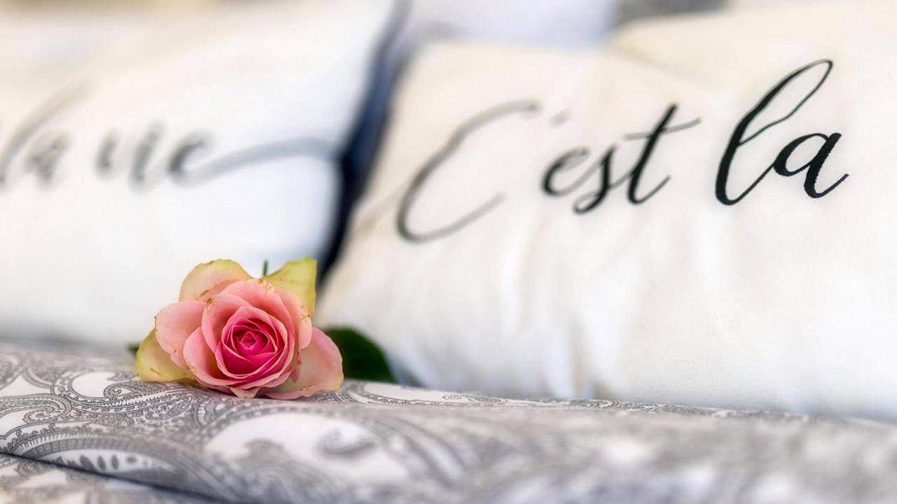 Ganze Wohnung, Nostalgie-Loft in Mayen, Osteifel