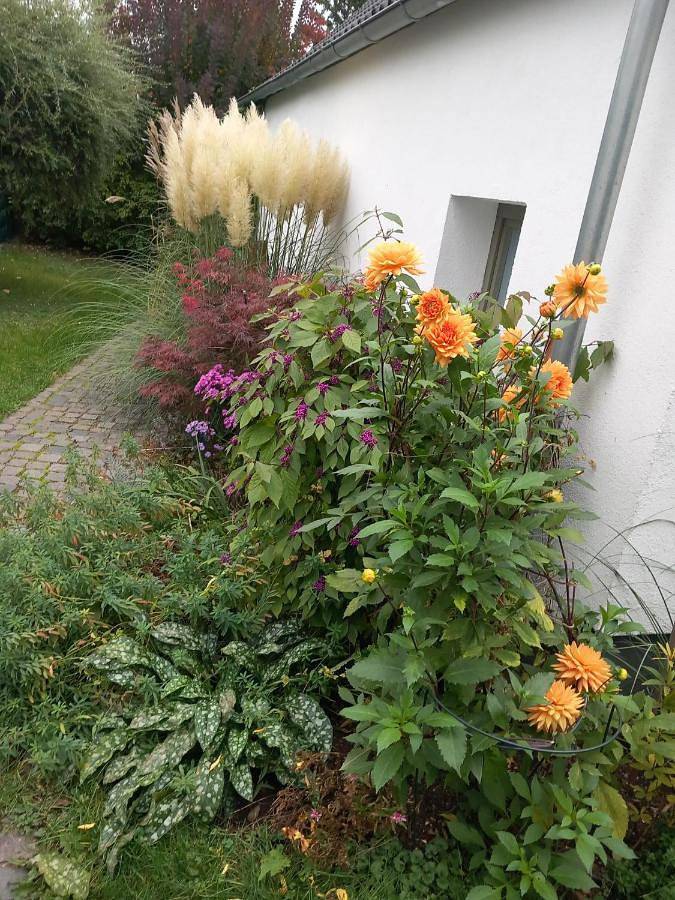 Ferienhaus für 5 Personen, mit Garten in Dresden