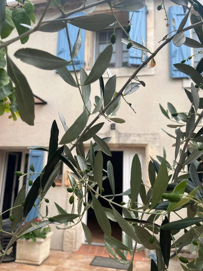 Location de vacances pour 2 personnes, avec Terrasse et Jardin ainsi que Piscine et Vue à Argeliers - 3