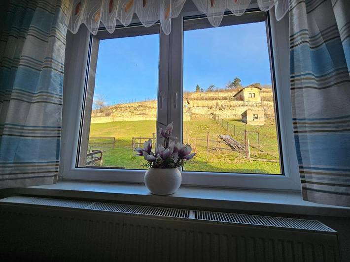 Ferienwohnung für 5 Personen, mit Terrasse und Garten sowie Ausblick in Freyburg (Unstrut) - 4
