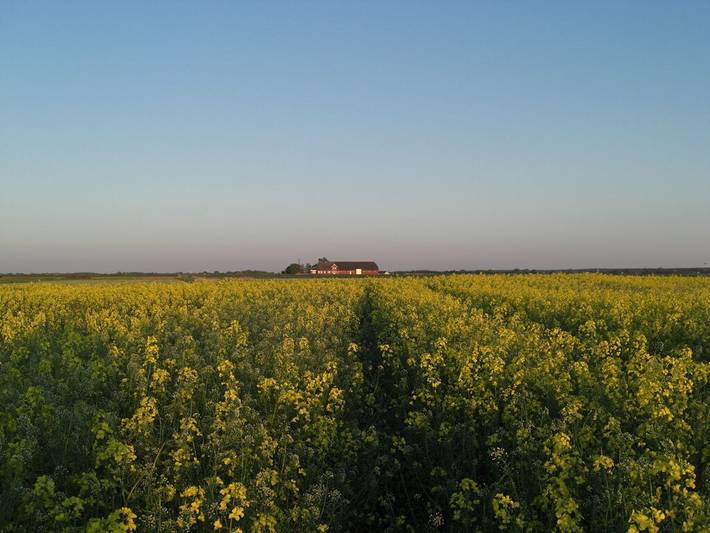 Ferienhaus für 2 Personen, mit Terrasse und Garten in Langenhorn - 3
