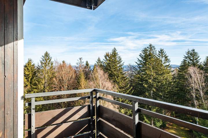 Ferienwohnung für 4 Personen, mit Garten und Sauna, kinderfreundlich in Spiegelau - 3