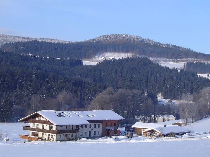 Ferienhaus für 4 Personen, mit Balkon und Terrasse sowie Garten und Sauna in Drachselsried - 3