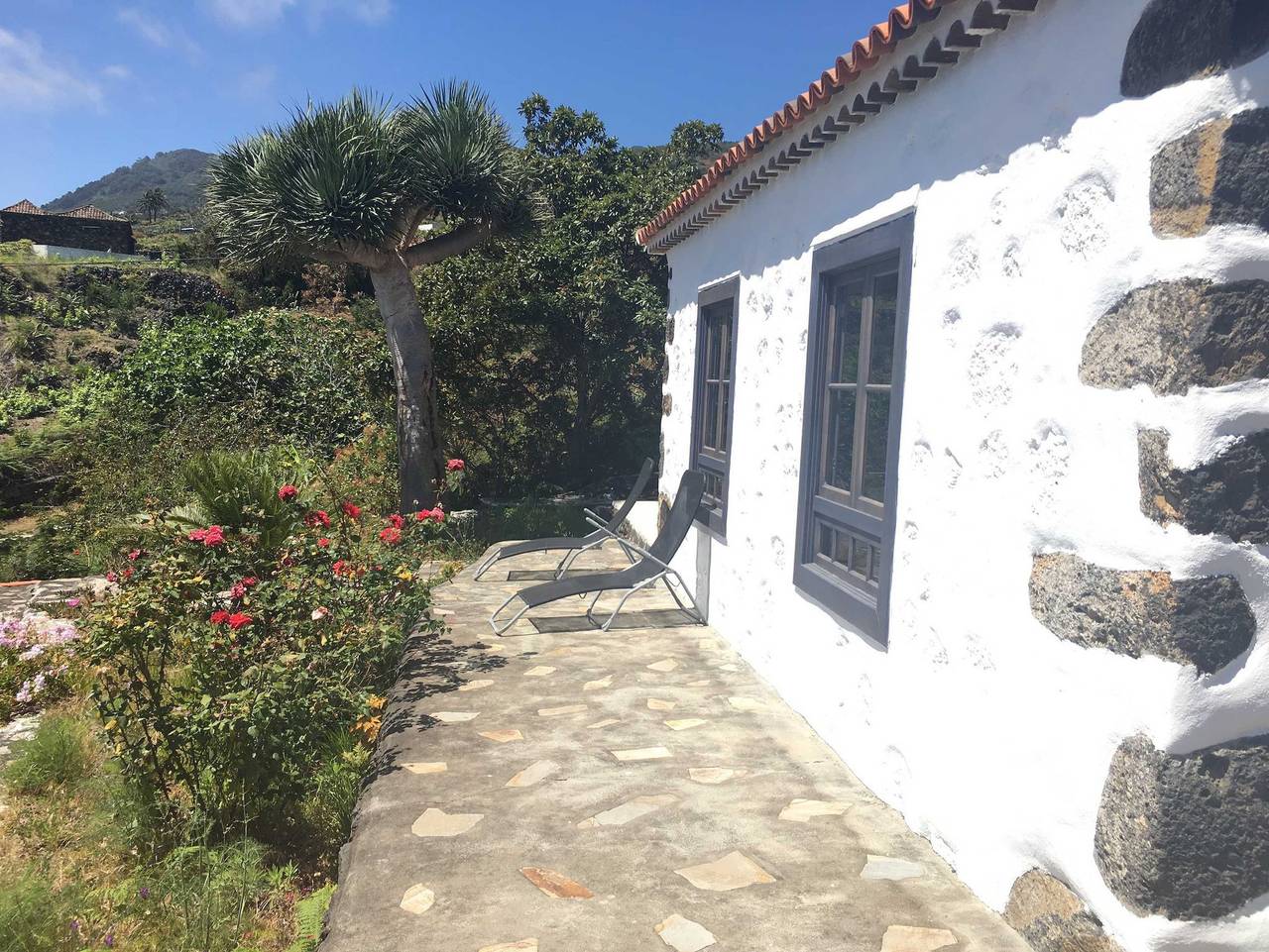 Finca Alegría in La Rosa, Villa de Mazo