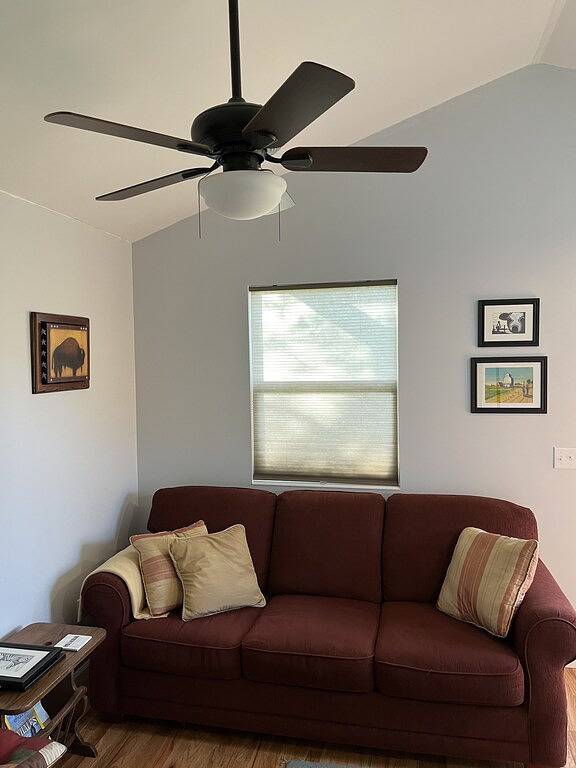 Cozy and comfortable1Br cabin on the Blue Ridge Parkway in Floyd Va. in Blue Ridge Parkway, Floyd County