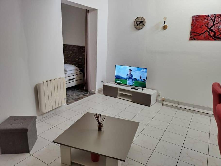 Appartement entier, One-Bedroom Apartment in Anzin, Région de Valenciennes