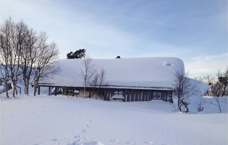 Ferienhaus für 6 Personen, mit Terrasse und Sauna in Telemark - 2