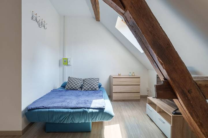 Ganze Wohnung, Le 4 Saint-Blaise - Studio spacieux et rénové in Autun, Autun und Umgebung