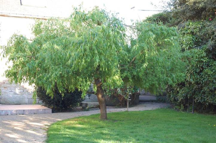 Hôtel pour 3 personnes, avec terrasse ainsi que vue et jardin à Pontivy - 4