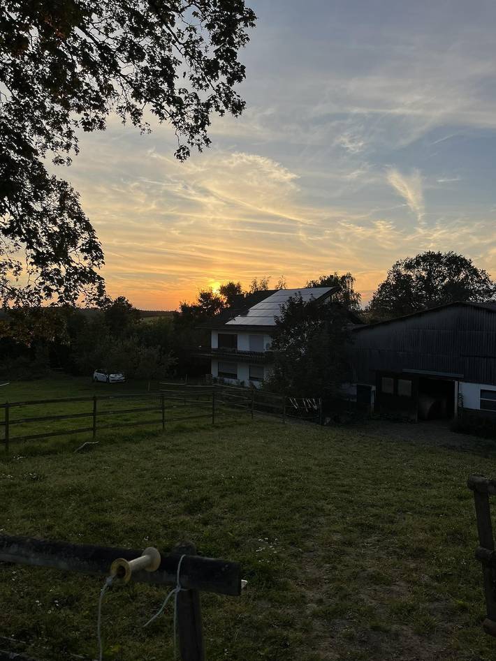 Bauernhof für 6 Personen, mit Terrasse und Garten, mit Haustier in Rheinland-Pfalz - 2