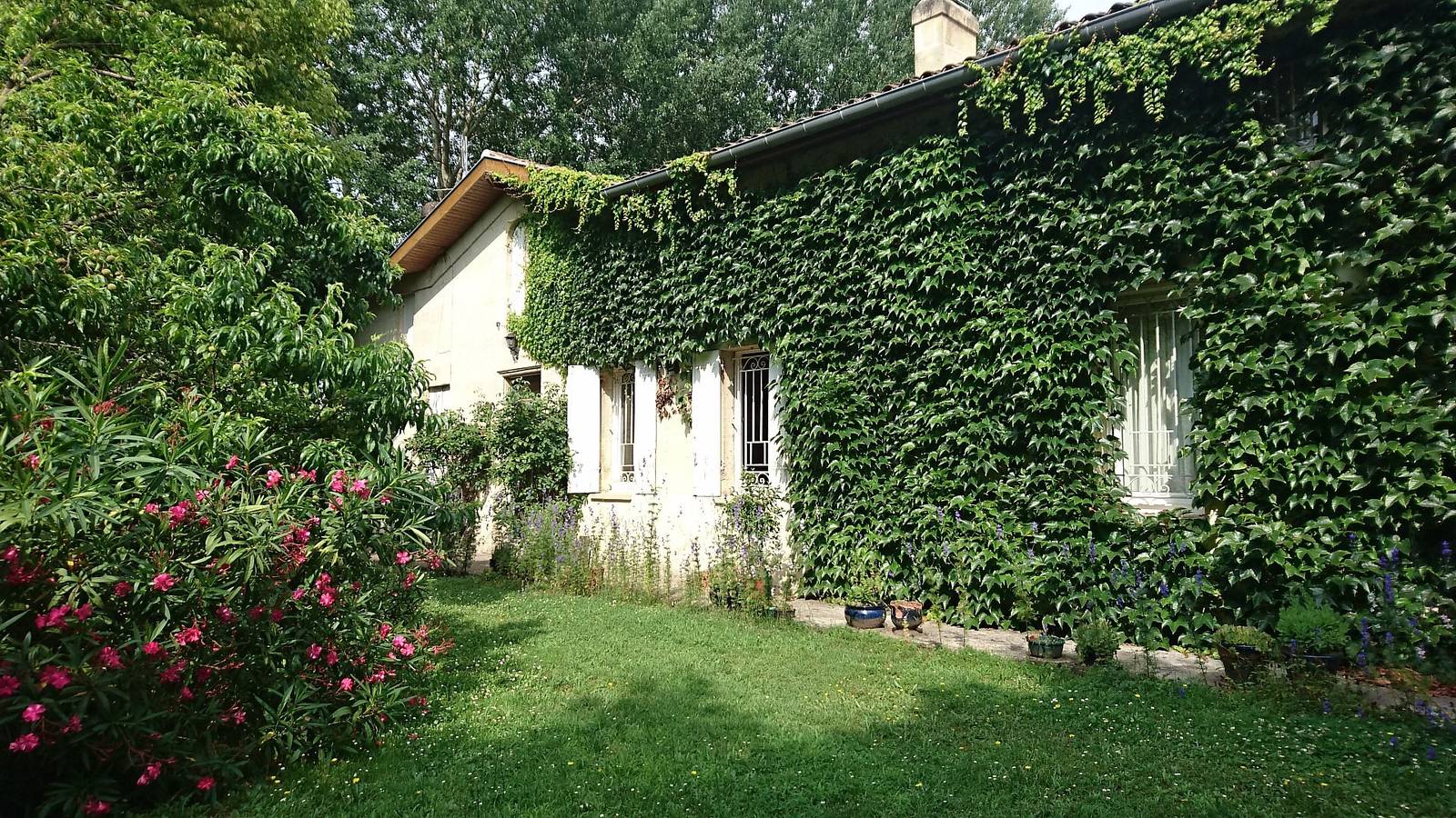 Bed and Breakfast 'La Lagune' mit gemeinsamer Terrasse, privatem Garten und Wlan in Saint-André-de-Cubzac, Blaye und Umgebung