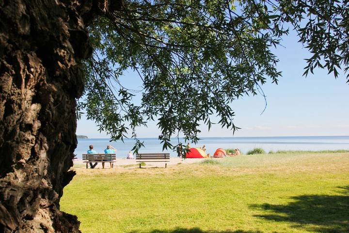 Ferienhaus für 6 Personen, mit Sauna und Garten sowie Ausblick in Putbus - 3