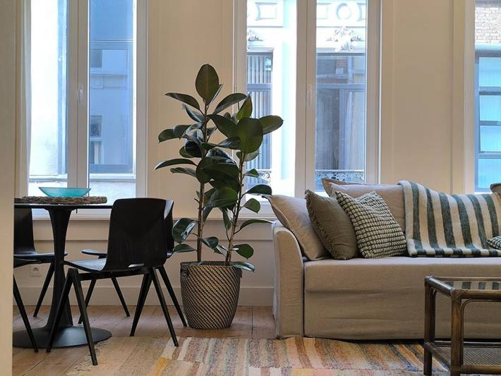 Vakantiehuis voor 12 personen, met terras in Antwerpen