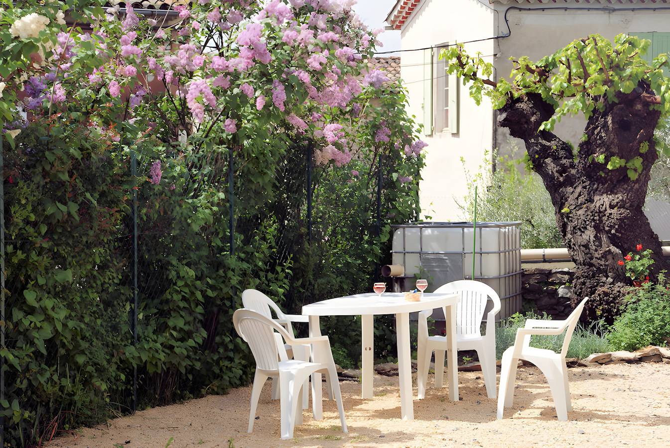 Maison de vacances « Le Gîte Du Vieux Mûrier Côté Sud » avec jardin privé, Wi-Fi et climatisation in Saint-Jean-de-Serres, Région d'Alès