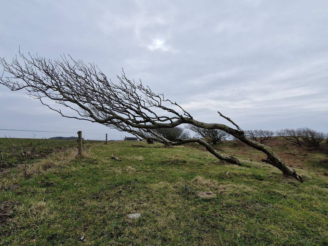6 Personen Ferienhaus in Spøttrup in Ålbæk Strand, Limfjord in Westjütland