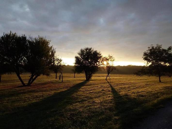 Location de vacances pour 4 personnes, avec terrasse et jardin à La Croix-en-Touraine - 2