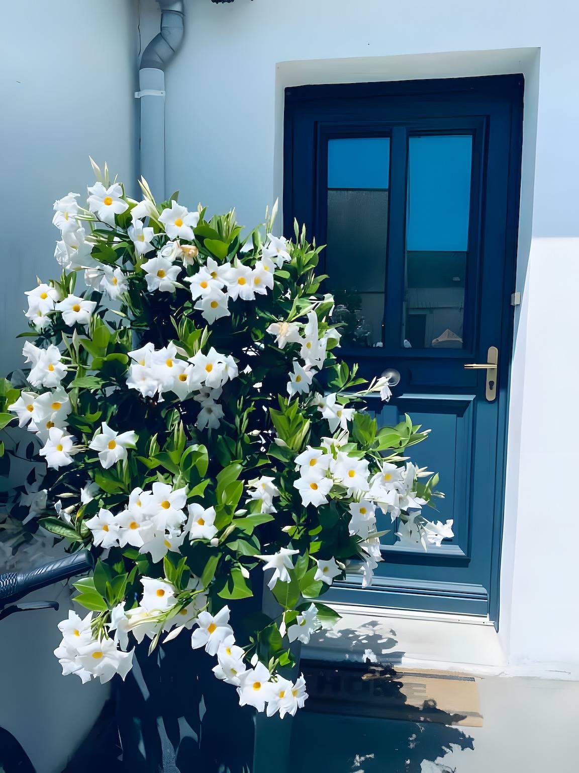 Appartement "La Paillote" met Wi-Fi, foto 8
