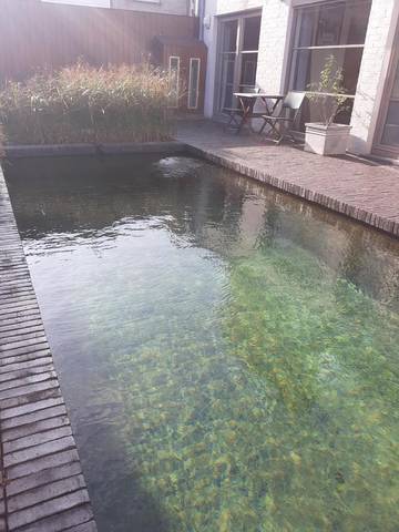 Maison d’hôte pour 2 personnes, avec sauna et terrasse ainsi que vue et piscine dans Flandre-Occidentale