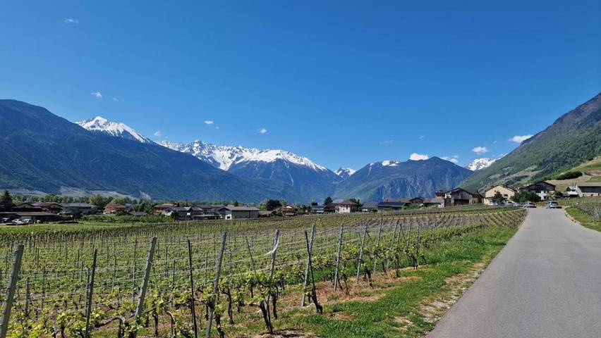 Gîte pour 6 personnes, avec terrasse, animaux acceptés à Fully - 2