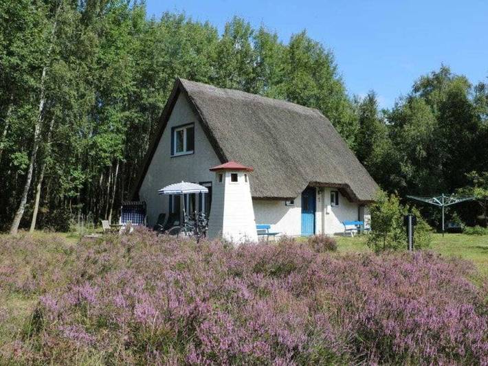 Ferienhaus für 6 Personen, mit Terrasse und Sauna auf Hiddensee