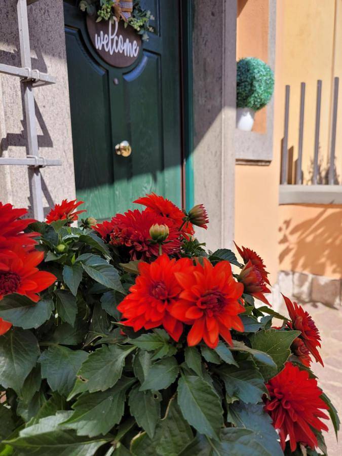 Double Room with Private External Bathroom in Marino, Castelli Romani