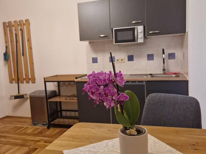 Hütte für 2 Personen, mit Balkon und Garten am Großglockner - 3