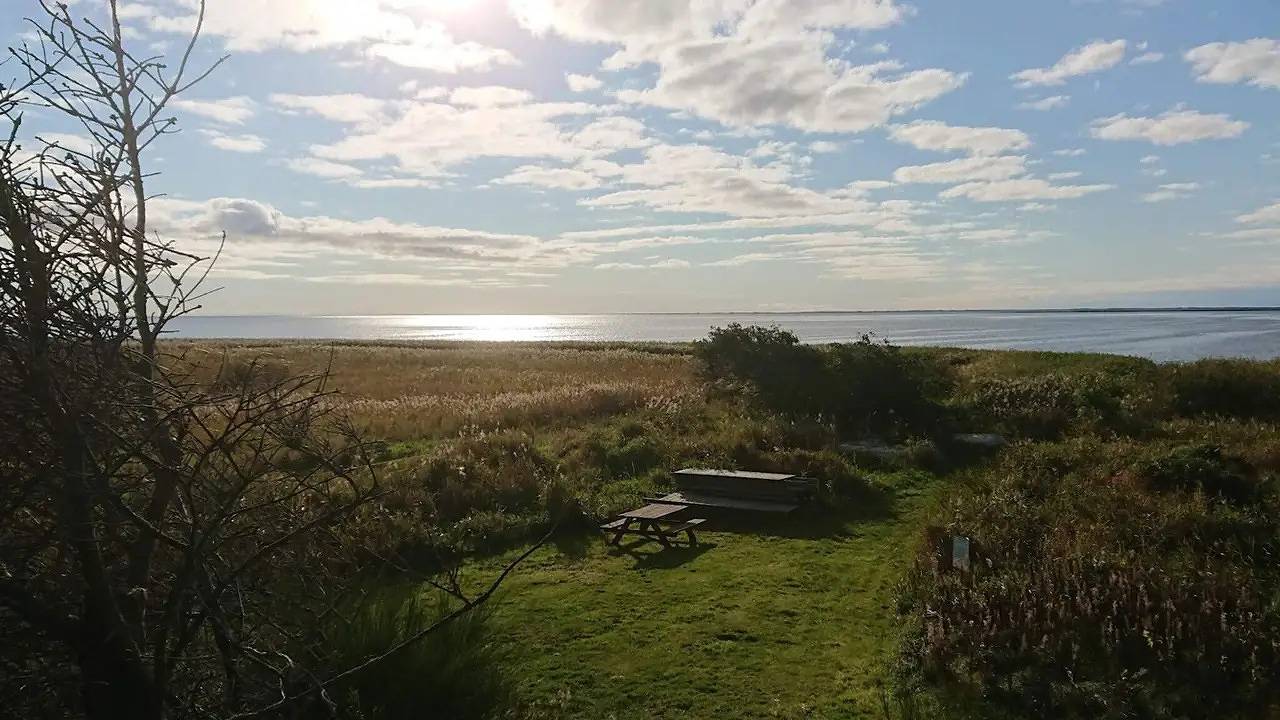 Ferienhaus für 4 Personen (40 m²) in Skjern in Skjern, Ringkøbing Fjord