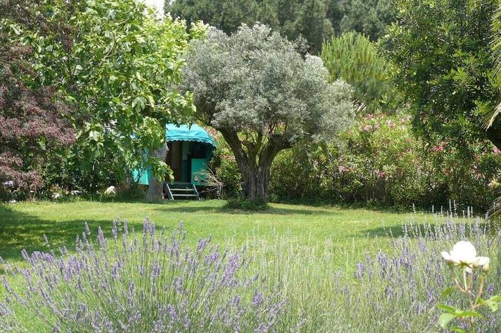 Maison d’hôte pour 2 personnes, avec jardin et piscine à Le Plan-de-la-Tour - 4