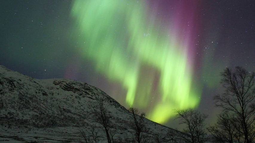 Ferienhaus für 11 Personen, mit Whirlpool und Garten in Vesterålen - 3
