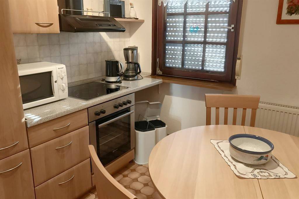 Ganze Ferienwohnung, Appartement/Fewo, Dusche, Wc, Balkon in Erlenbach bei Dahn, Pfalz