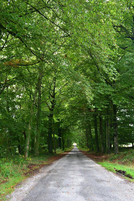 Gîte pour 8 personnes, avec jardin à La Geneytouse - 2