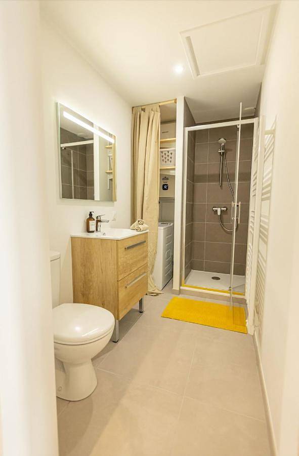 Gîte pour 3 personnes dans Théatre antique de Vienne - 4