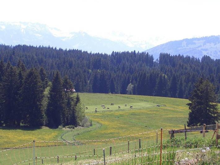 Ferienwohnung für 4 Personen, mit Balkon und Garten sowie Ausblick