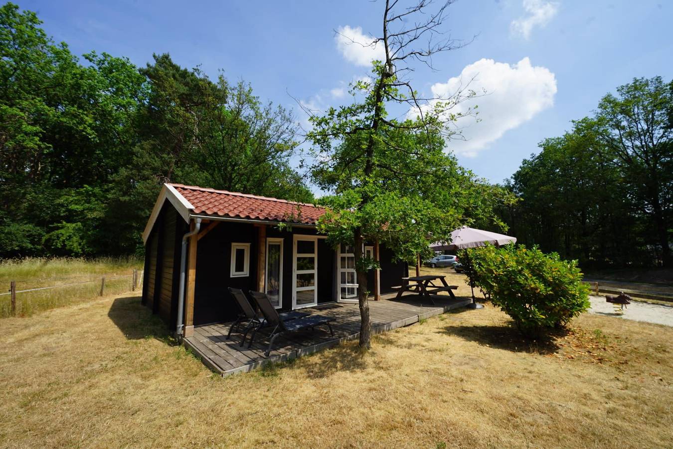 Europarcs Ruinen — Drentse kap 4 in Ruinen, Nationalpark Dwingelderveld