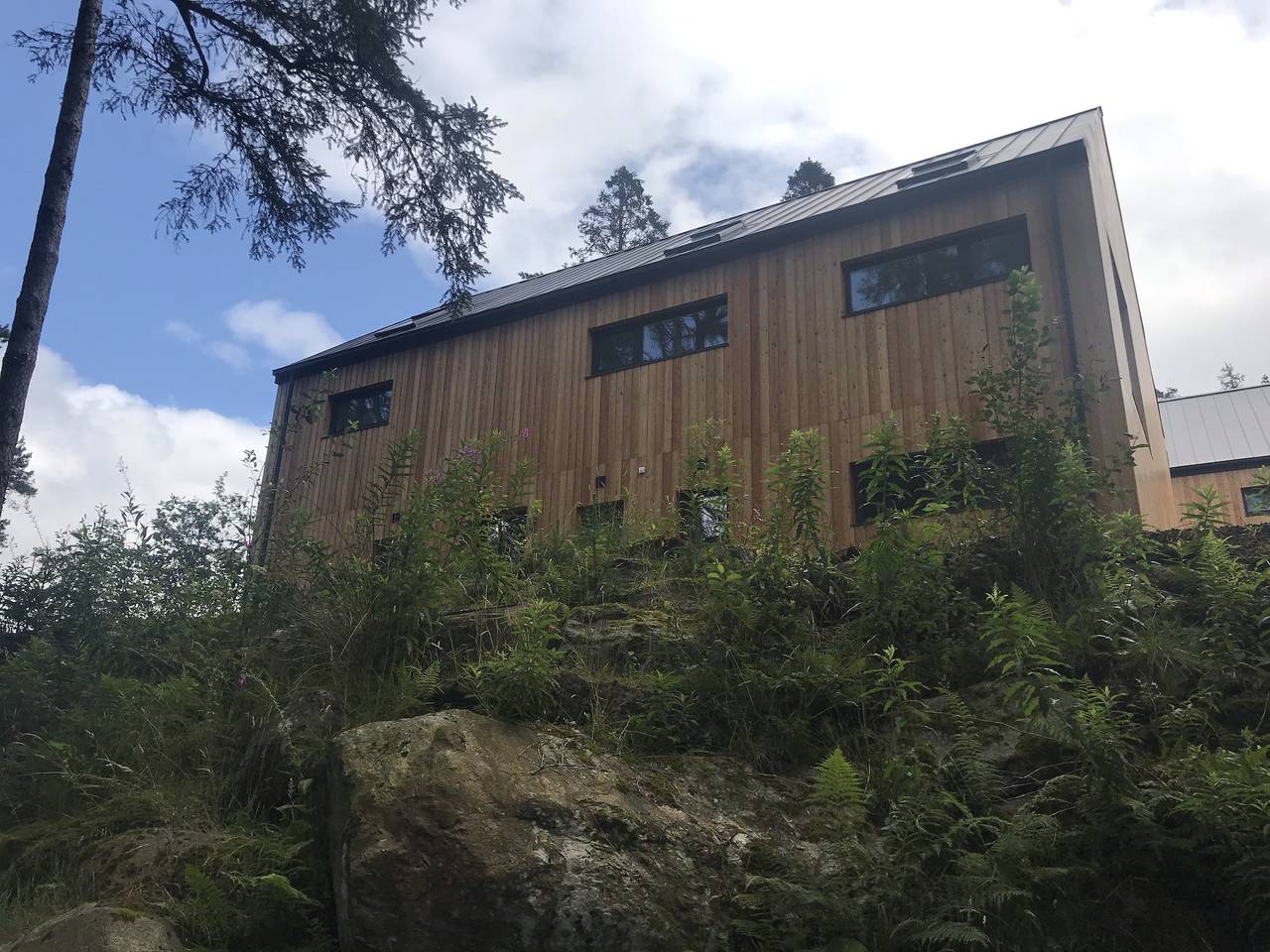 Red Stag with stunning loch and waterfall view in Stirling region