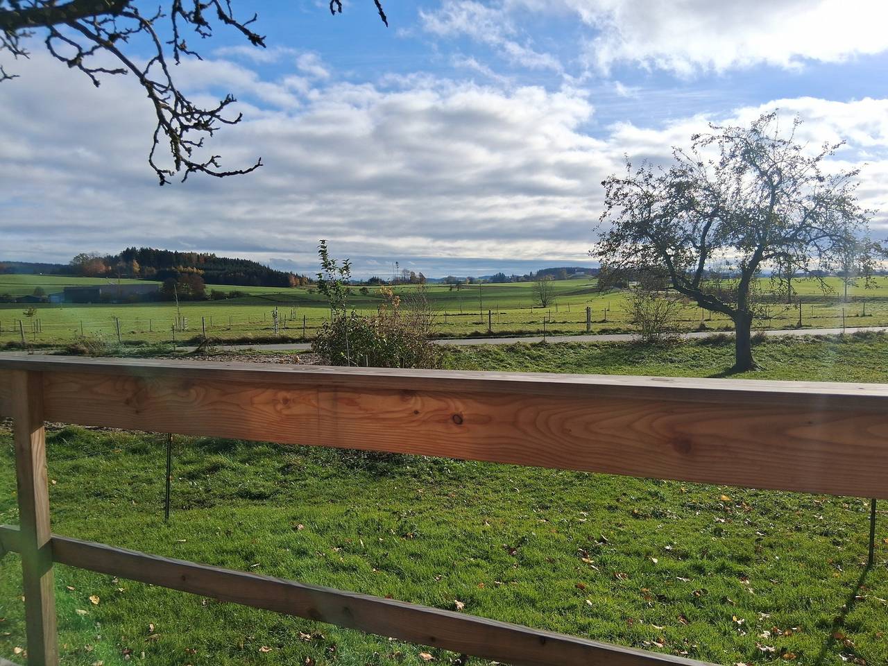 Ganze Ferienwohnung, Tiny Home „Lara“ mit Bergblick, privatem Garten und Wlan in Bad Waldsee, Region Bodensee-Oberschwaben