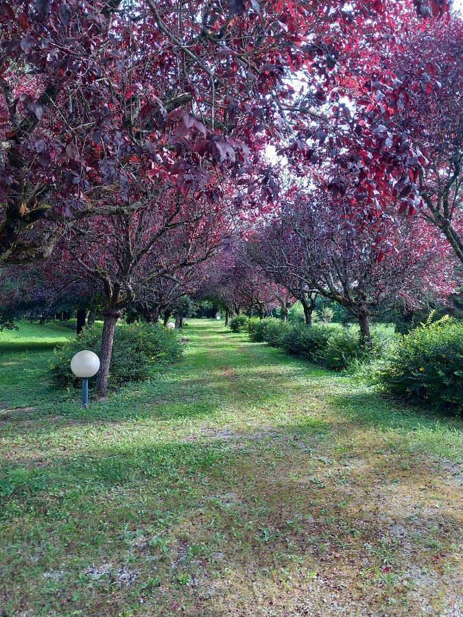 Le rêve au fil de l'eau in Marmagne, Région de Montbard