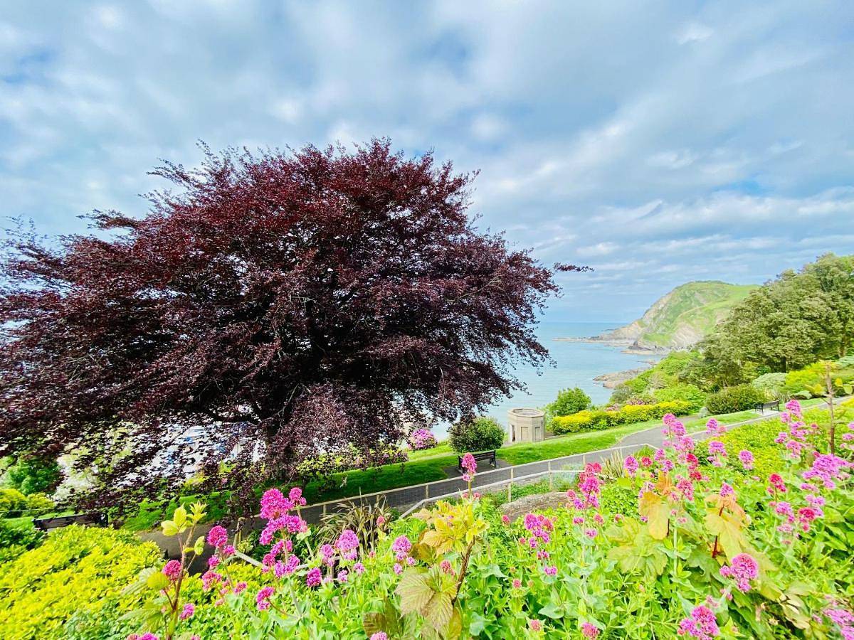 Four-Bedroom House in Ilfracombe, Devon