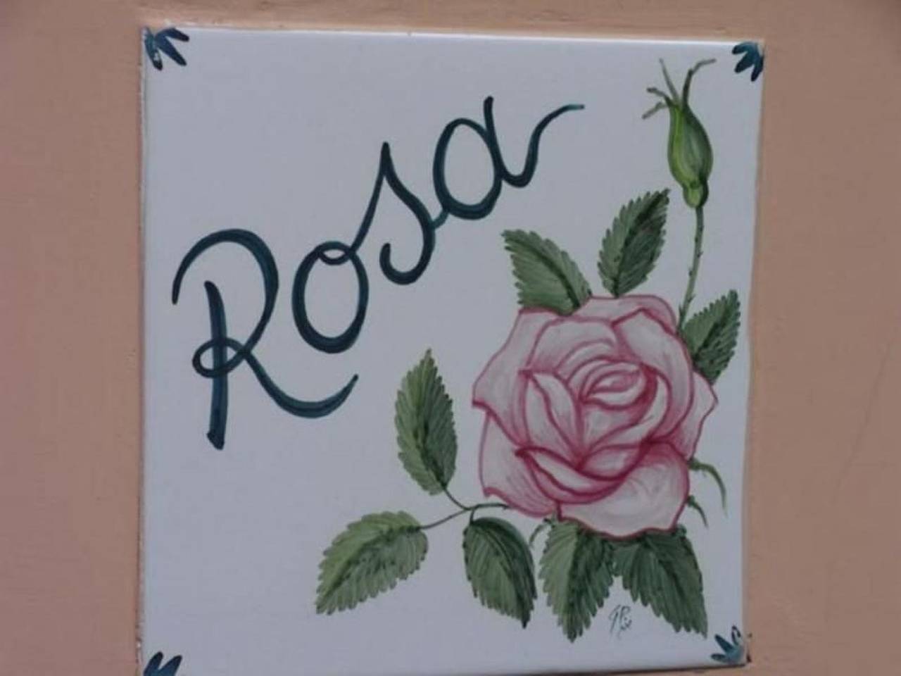 Hel lejlighed, Rosa' Wohnung mit privatem Garten in Sorrento, Napoli Provinsen